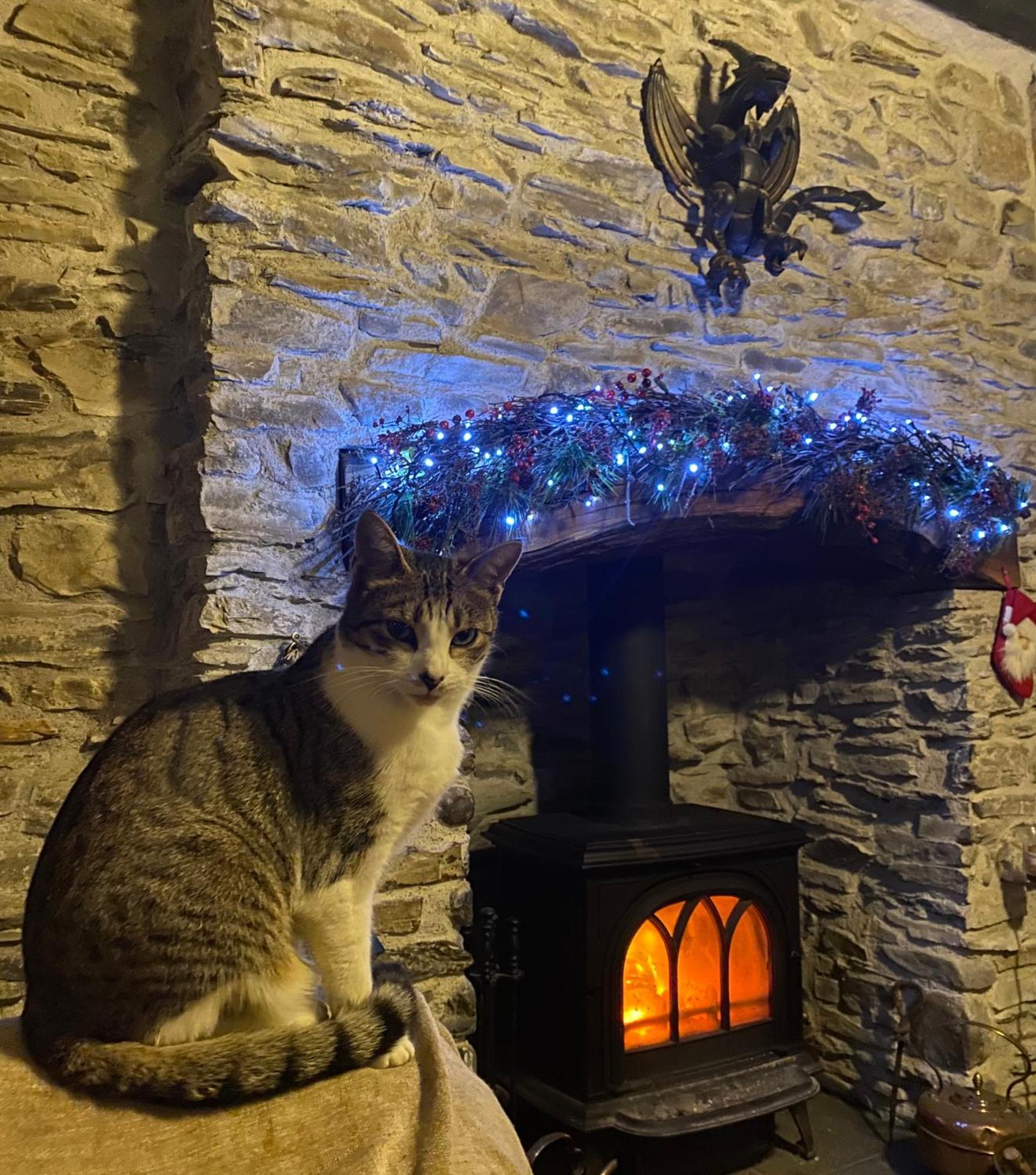 Five Saints Farmhouse B&B Pumpsaint Exteriér fotografie