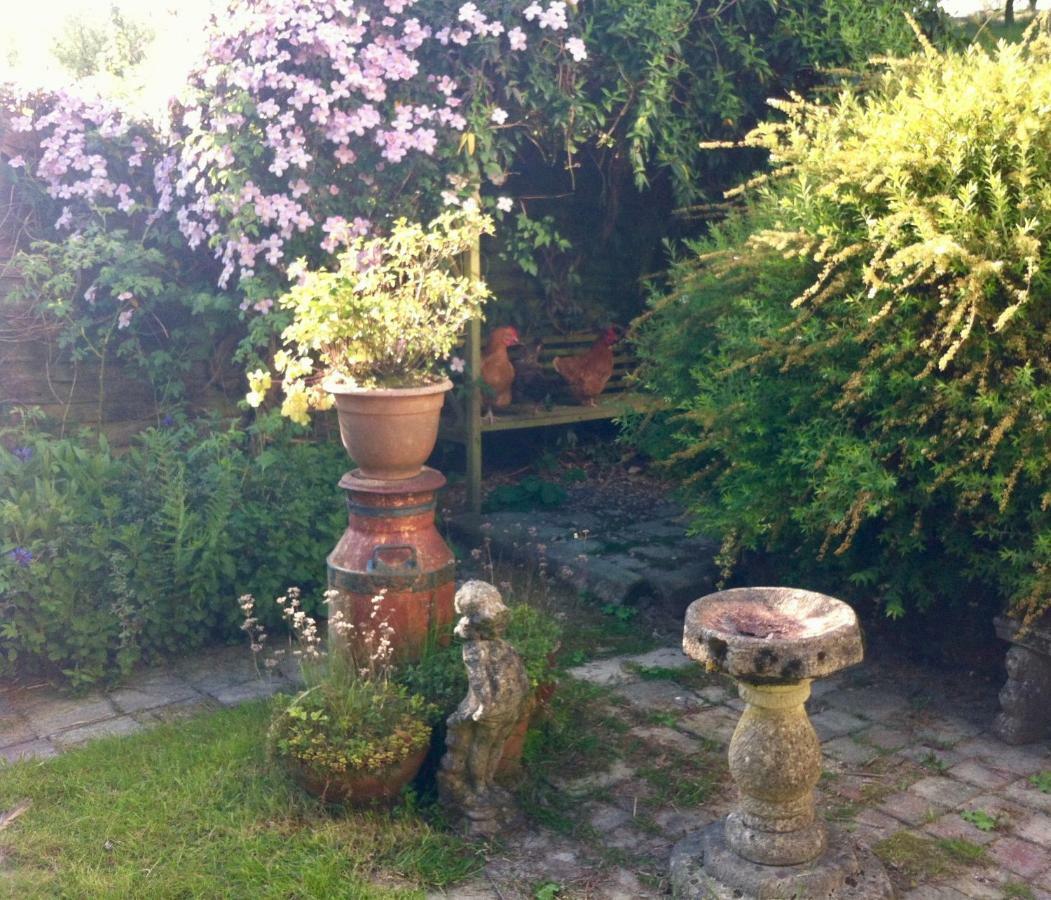 Five Saints Farmhouse B&B Pumpsaint Exteriér fotografie